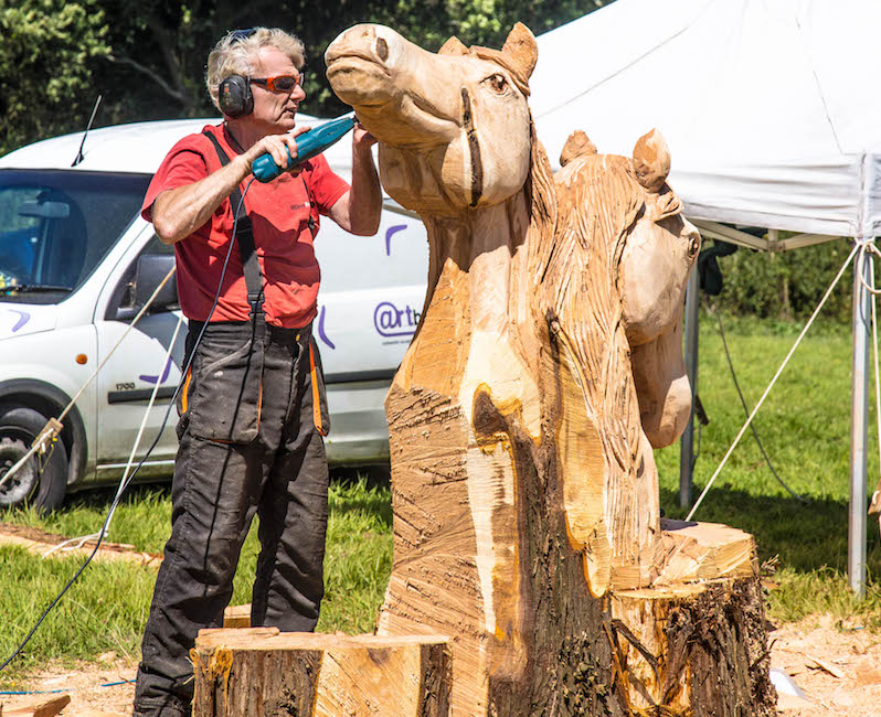 Speed wood carving The Royal Isle of Wight County Show