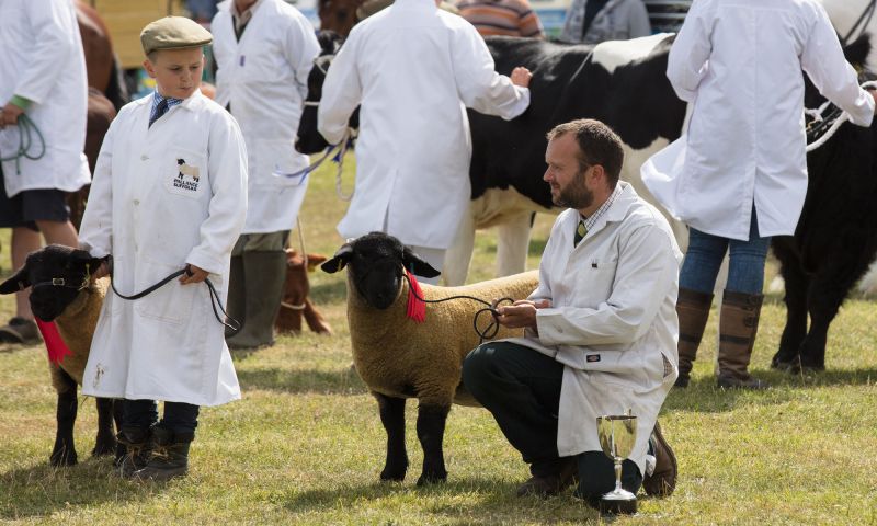 The Royal Isle of Wight County Show – A right rural day out!