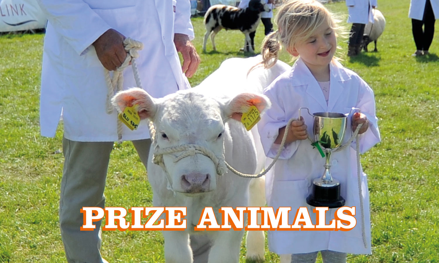 Prize animals