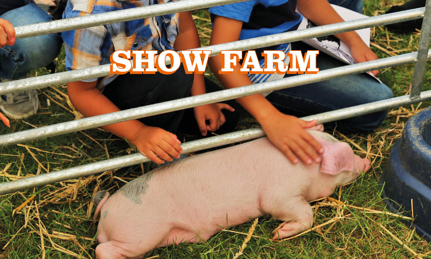 Show Farm