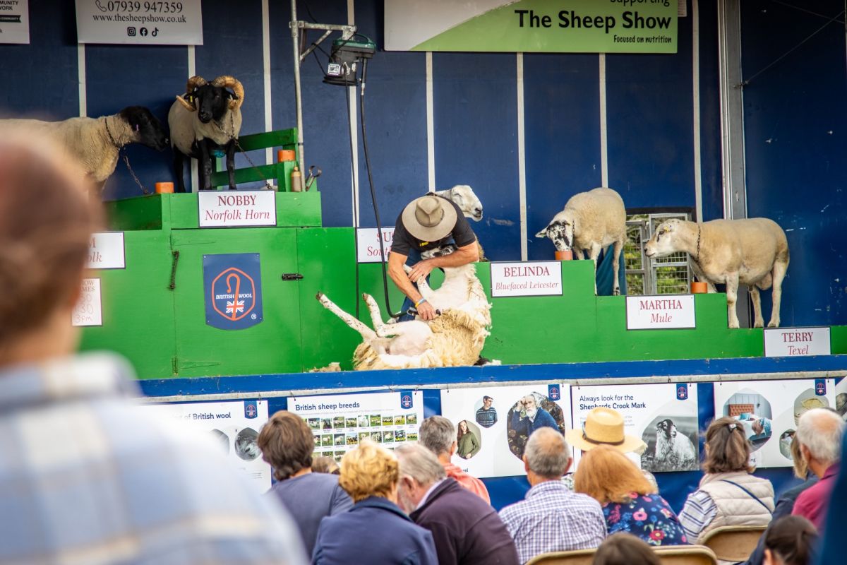 The Royal Isle of Wight County Show – A right rural day out!