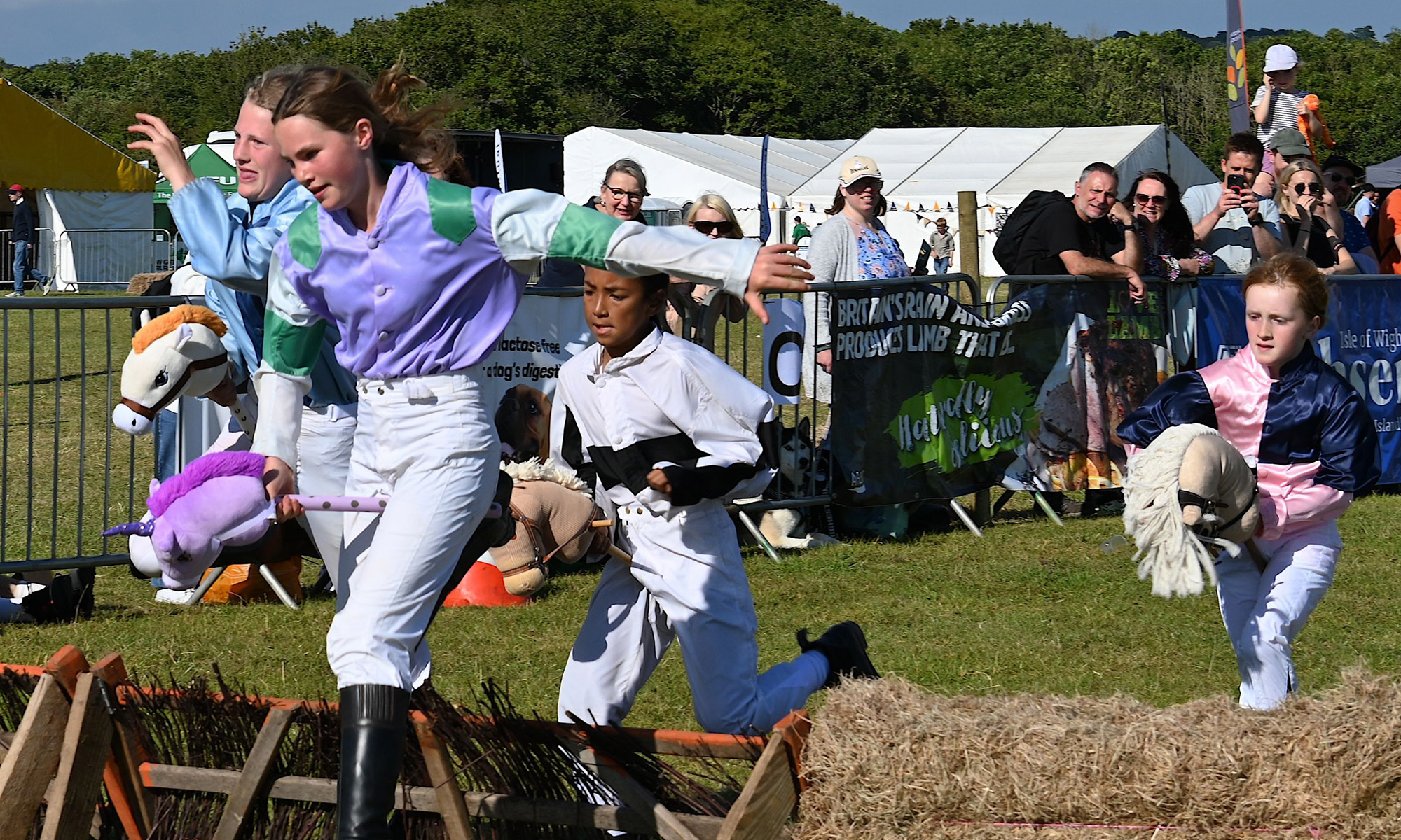 Hobby horse racing